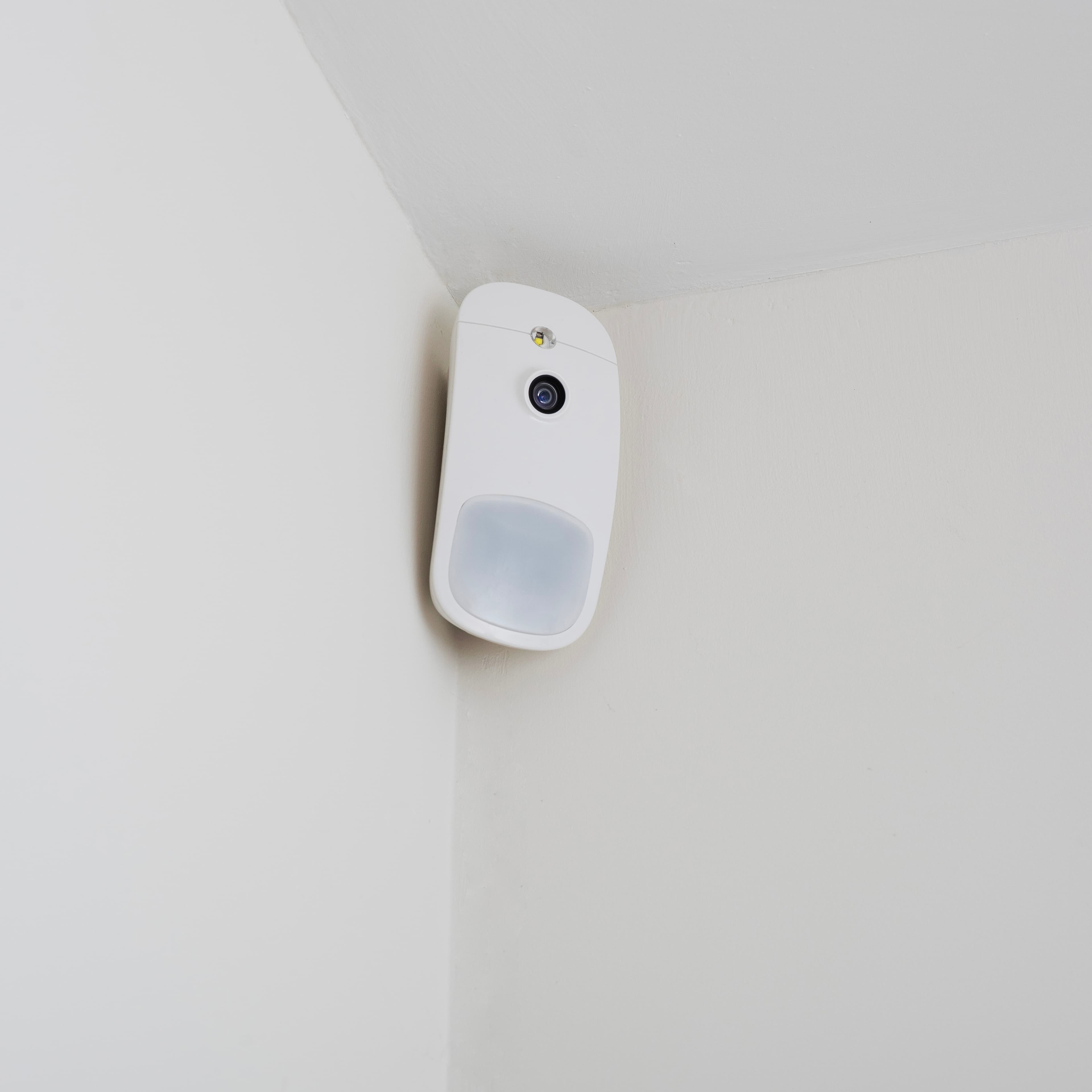 Image - Image7
