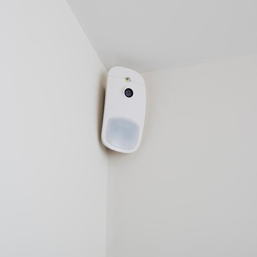 Image7